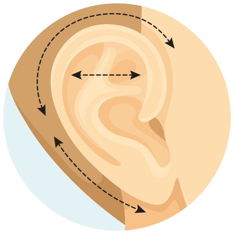 ear surgery diagram